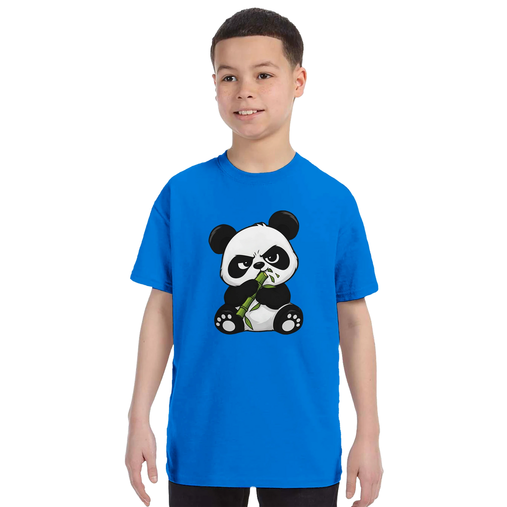 Grumpy panda kids t-shirt, front and back panda print – LQQV